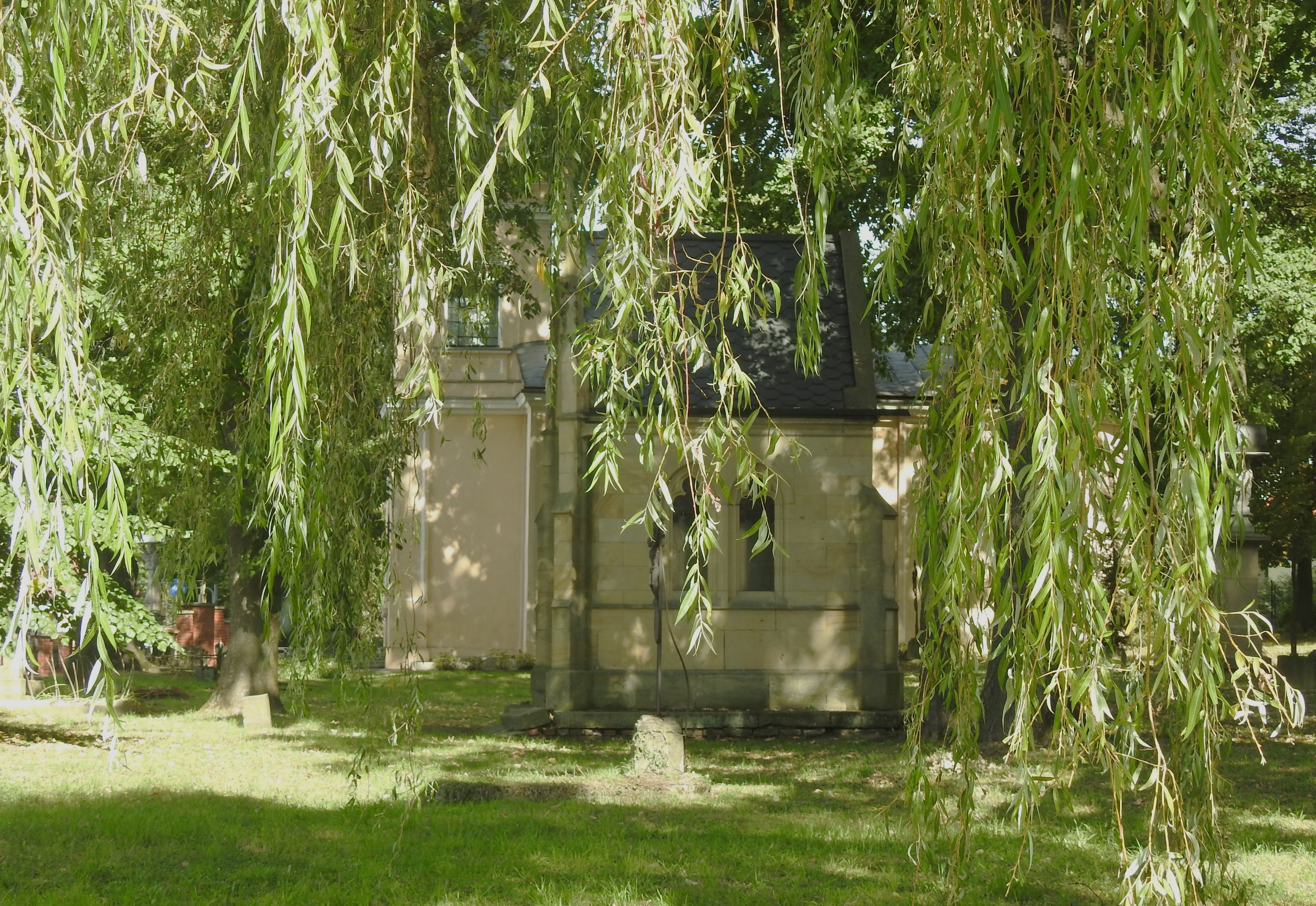 DSCN1266.JPG