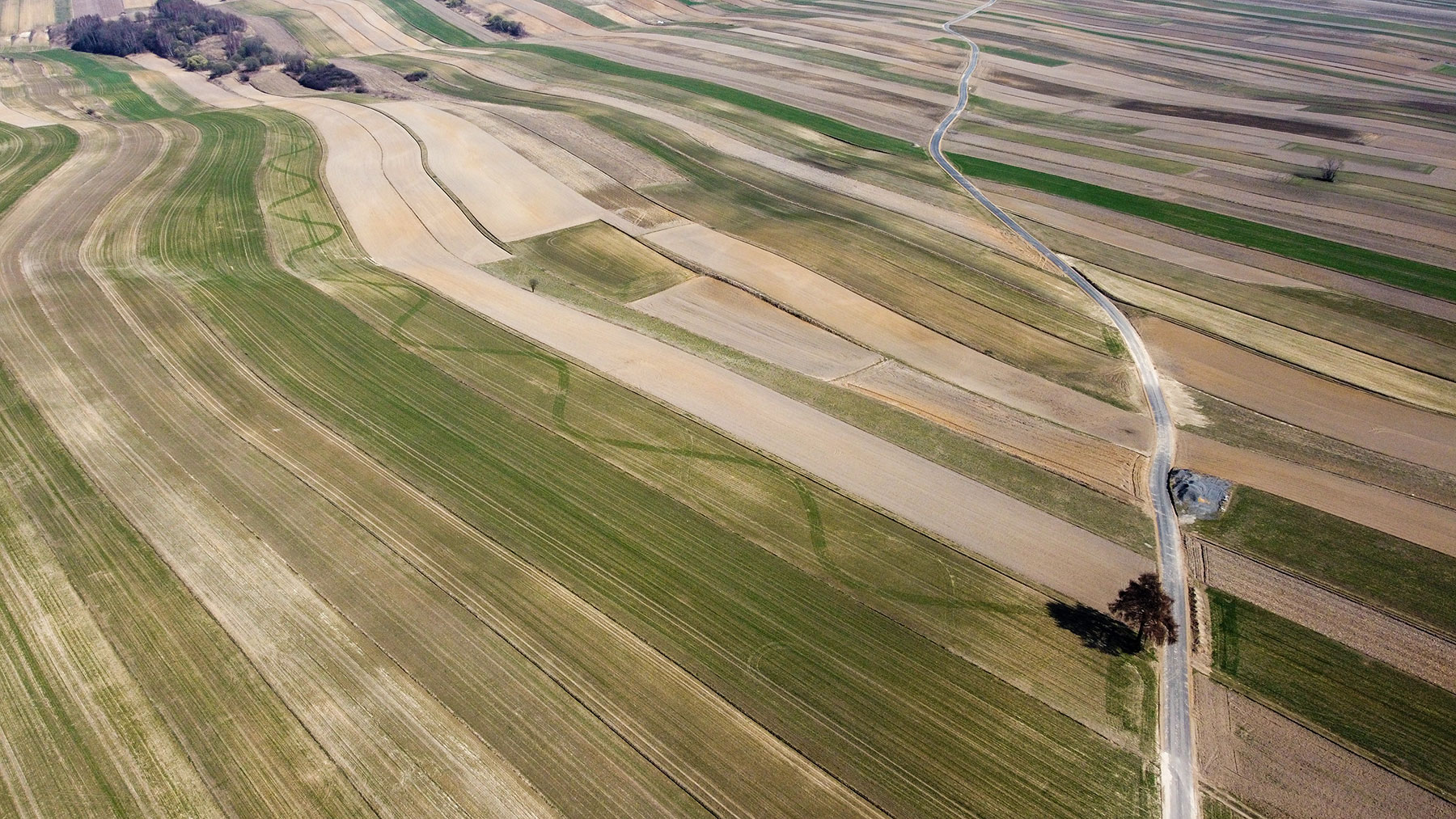 DJI_0339.jpg